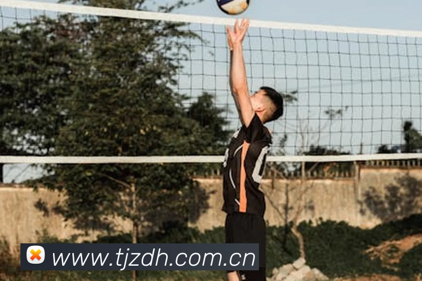 米兰网页版官网入口平台生态图