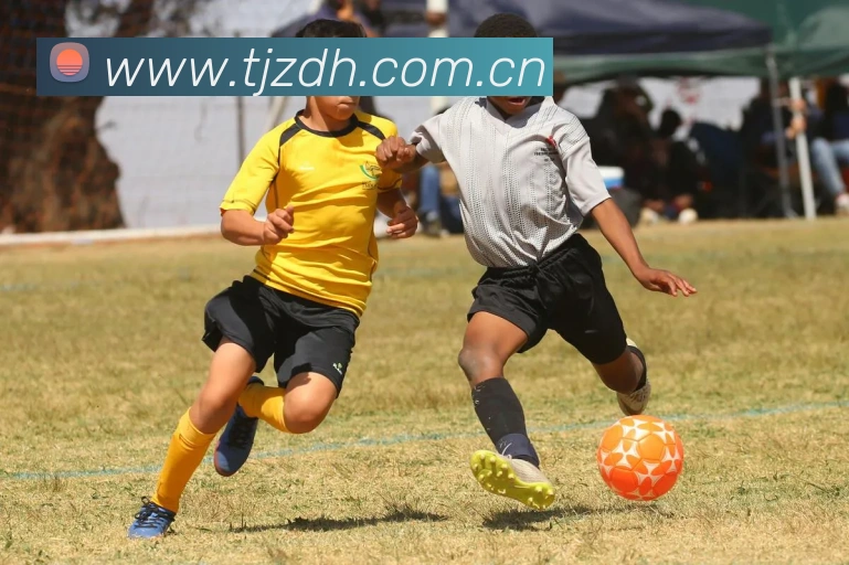 米兰网页版官网入口全站App 米兰网页版官网入口全站App